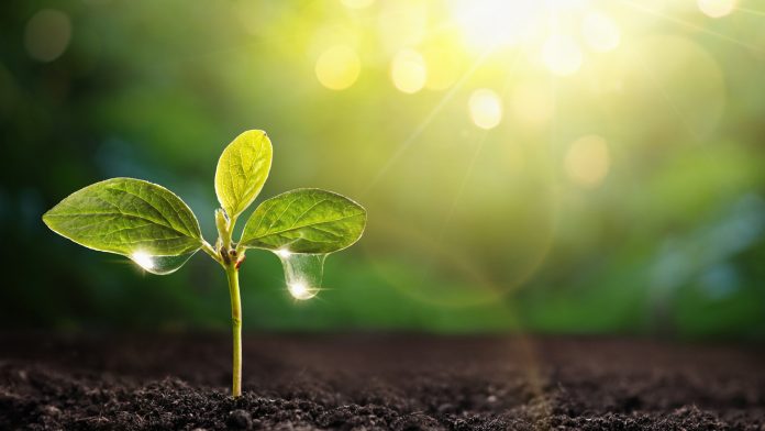 آزمون گستر بندر آزمایشگاه آب، خاک، گیاه، کود و مواد معدنی بندرعباس