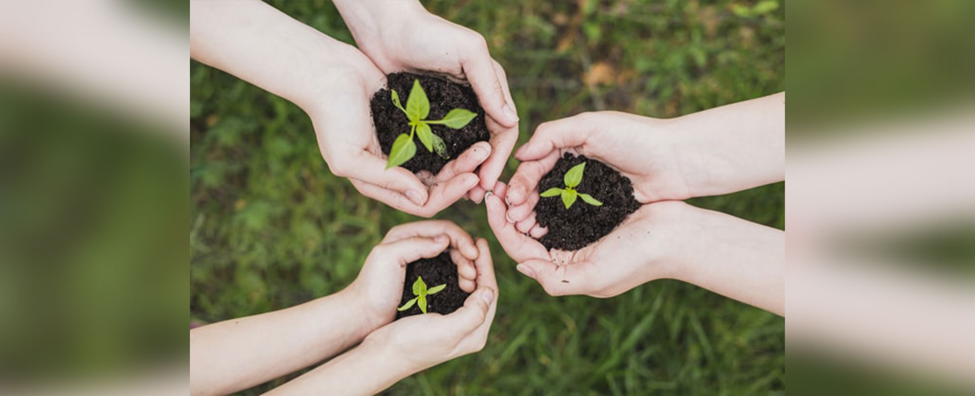 آزمون گستر بندر آزمایشگاه آب، خاک، گیاه، کود و مواد معدنی بندرعباس