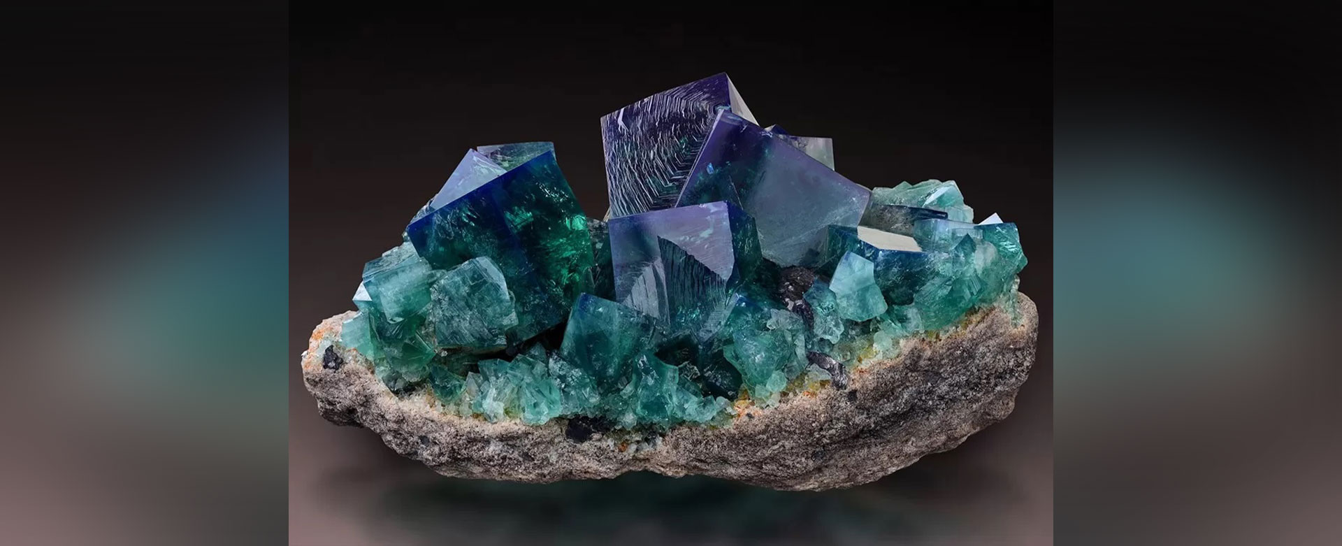 آزمون گستر بندر آزمایشگاه آب، خاک، گیاه، کود و مواد معدنی بندرعباس